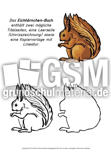 Mini-Buch-Eichhörnchen-L.pdf